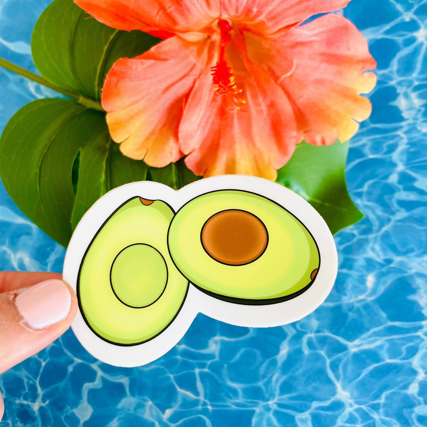 Avocado MATTE Finish Sticker